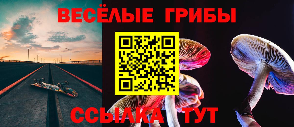 Галлюциногенные грибы Magic Shrooms  Псилоцибиновые грибы Magic Shrooms  Долгопрудный  купить  сайты  Вход с VPN 