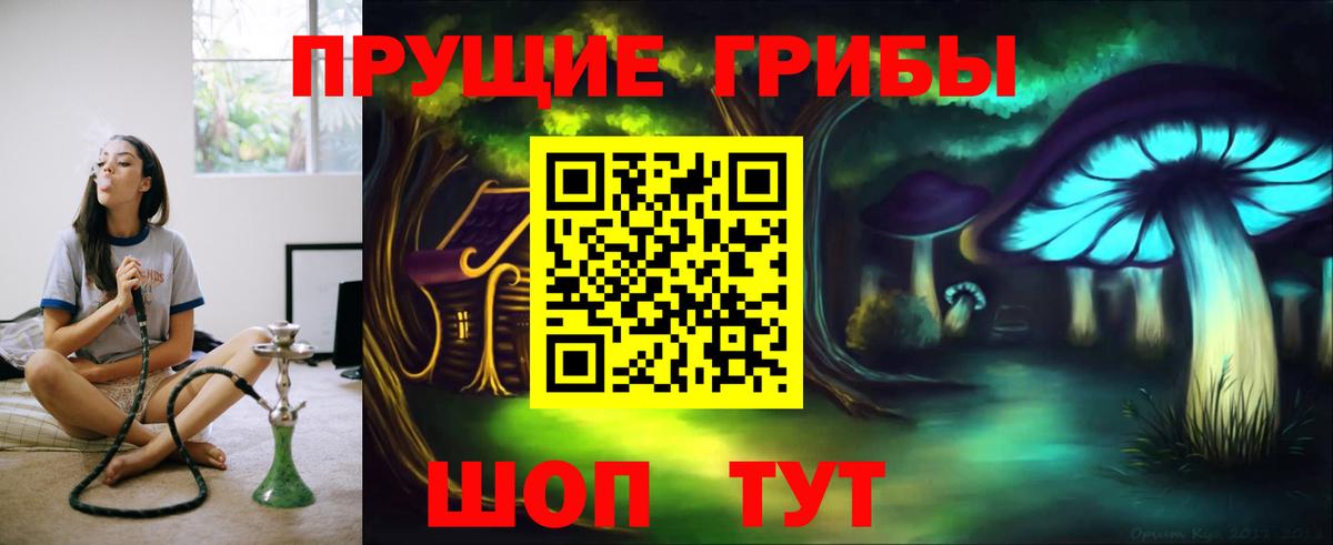 Галлюциногенные грибы Psilocybe Долгопрудный
